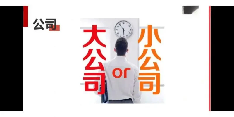 《小公司能否借鉴大公司的运营秘籍？》-中小企实战运营与营销工作室